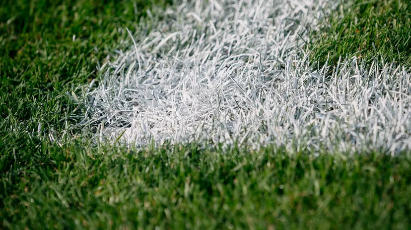 8 internationals voor Club NXT
