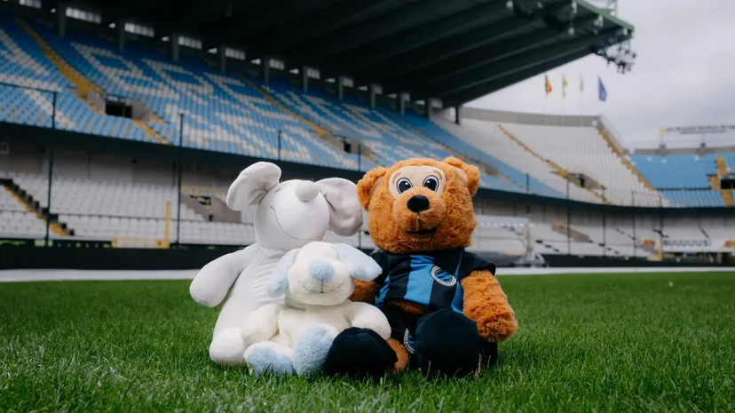 Beren voor Brugge: samen zorgen we voor een knuffelregen aan solidariteit