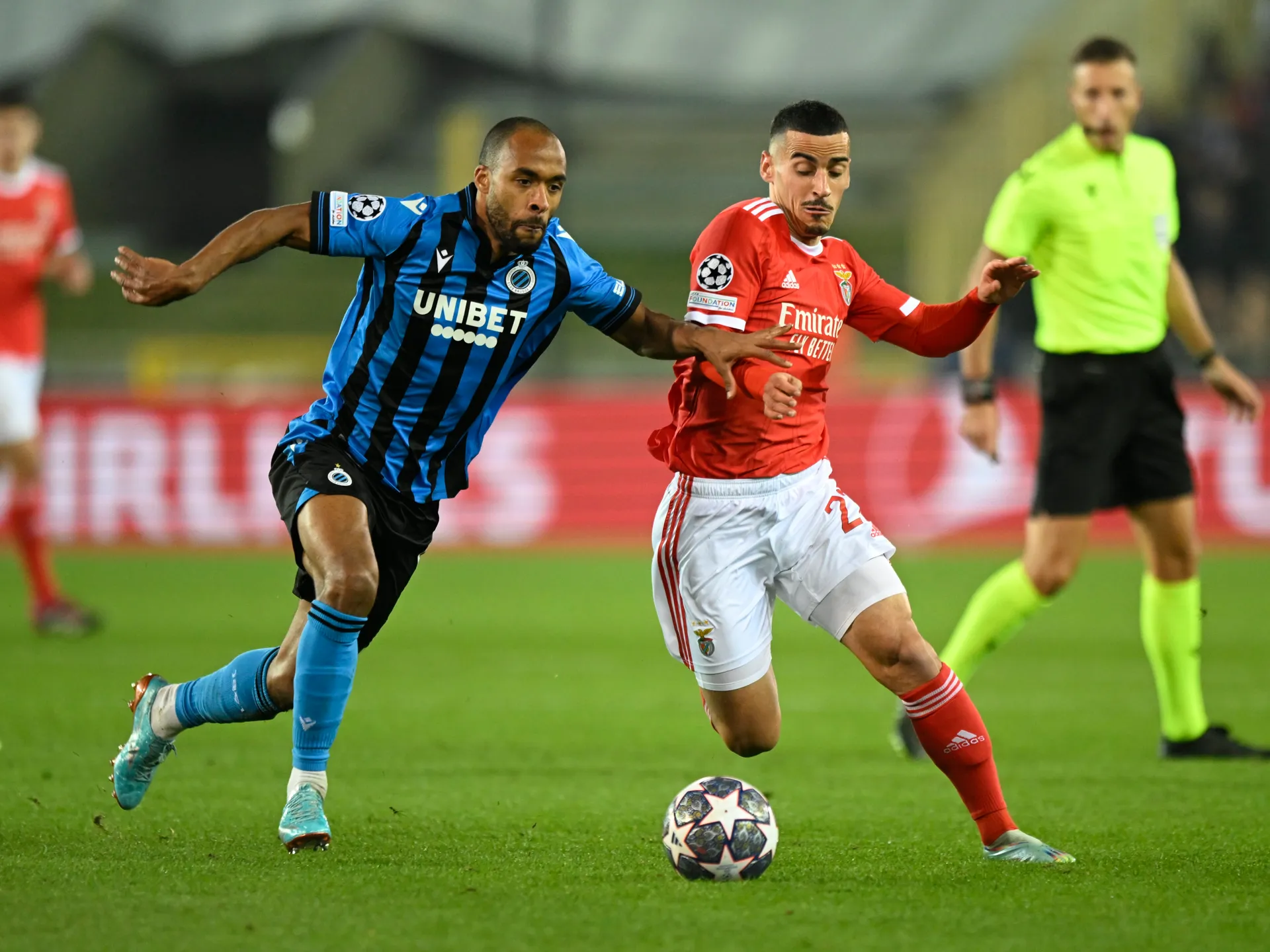 Live Match Club Brugge Benfica Champions League - SL Benfica